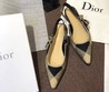 Женские туфли Christian Dior 2021 бежевые с черным