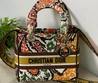 Женская сумка Christian Dior Lady цветная  24x20