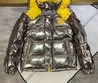 Мужская куртка Moncler серебристая