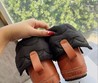 Женские ботинки Celine черные с коричневым нейлоновые