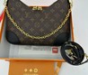 Женская сумка Louis Vuitton 2022-2023 коричневая 26х18