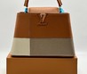 Женская кожаная сумка Louis Vuitton 2022-2023 коричневая 28х18