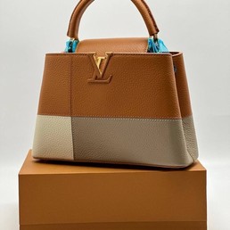 Женская кожаная сумка Louis Vuitton 2022-2023 коричневая 28х18