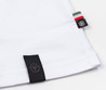 Мужская футболка Philipp Plein 2023-2024 белая с серо-красным принтом