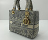 Женская текстильная сумка 24х20 Christian Dior 2023-2024 серебристая