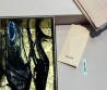 Женские кожаные туфли Miu Miu 2023 черные лакированные