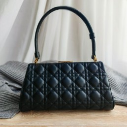 Женская кожаная сумка Christian Dior 2024 черная 30х15