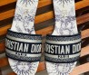 Женские комбинированные шлепки Christian Dior Dway синие с белым 2024