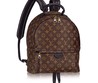 Женский коричневый кожаный рюкзак Louis Vuitton Palm Springs