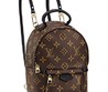 Женский кожаный рюкзак Louis Vuitton Brown Sm