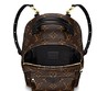 Женский кожаный рюкзак Louis Vuitton Brown Sm