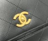 Женская кожаная сумка Chanel черная 28х17х7 2025