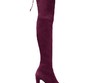 Ботфорты Stuart Weitzman Bordo V